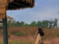 -白鹭湾湿地公园