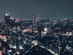 -东京都厅舍