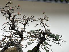 -成都杜甫草堂博物馆