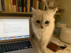 -诚铭记·虾仁汤包·成都小吃(融创店)