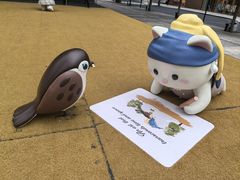 -深圳湾万象城(南山店)