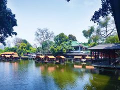 -侨美·唐荔园·40年地道粤菜