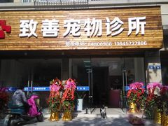 门面-致善宠物医院(体育路店)