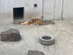 -和平公园