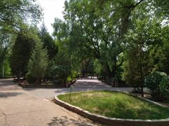 -青城公园