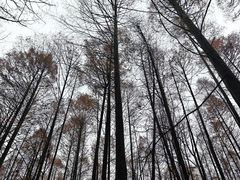 -山王坪喀斯特国家生态公园