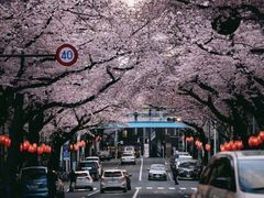 -灌篮高手动画打卡地