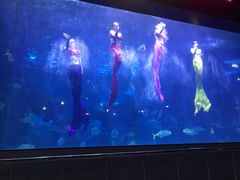 -蓬莱欧乐堡海洋极地世界
