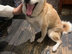 -三目仓咖啡(贤南路店)