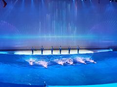-上海海昌海洋公园
