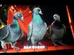 -大地影院(上海南汇店)