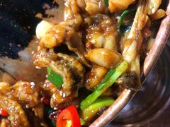 -蛙麻蛙辣炭火蛙锅(南环大街店)