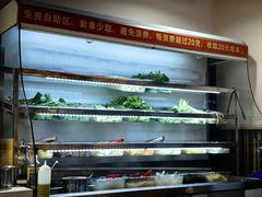 -刘记光大火锅鸡(北行店)