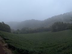 -敬亭山风景名胜区