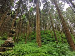 -上色见熊野座神社