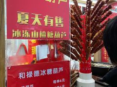 -和禄德冰糖葫芦