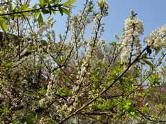 -风云岭森林公园