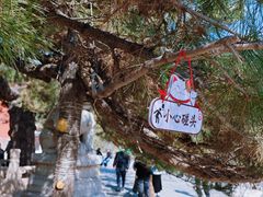 -潭柘寺景区