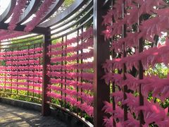 -广州神农草堂中医药博物馆