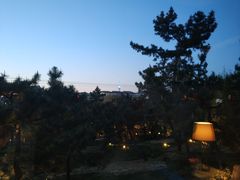 -王记西鎮电烤肉(汶上路店)