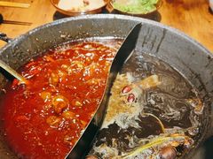 -楠火锅(哈尔滨金爵万象店)