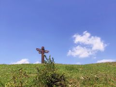 -大姆山草场