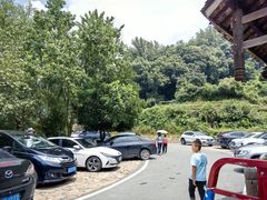 -杨家堂村