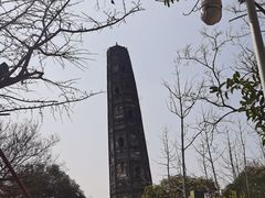 -上海佘山国家森林公园天马山园