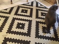 -Rabbit Cafe私房西餐甜点咖啡(栖霞路店)