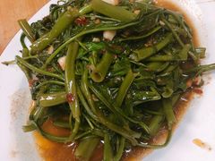 -金龙酒家