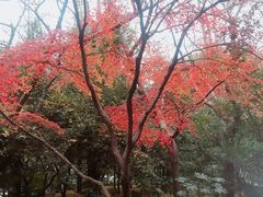 -汇龙潭