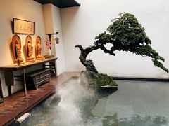 -觀芷隐轩·宋宴(河坊街店)