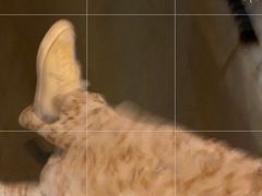 -澜悦汇推拿足道(蓝村路店)