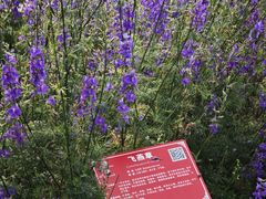 -广西壮族自治区药用植物园