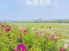 -七的湖·晚芳亭·阳澄湖农家菜·大闸蟹(莲花岛店)