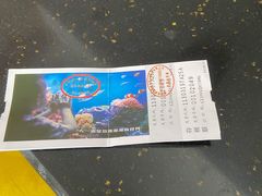 -秦皇岛新澳海底世界