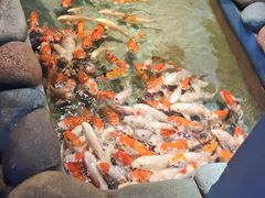 -常州海昌海洋探索馆