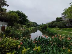 -大旗头古村