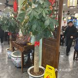 奥灶面 生意兴隆 好吃小贵