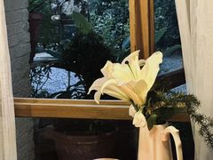 -Jo's Garden