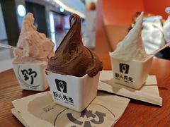 -野人先生现做冰淇淋(北京王府井东方新天地店)