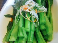 炒菜心-北京云瑧金陵莲花酒店·莲·川小馆