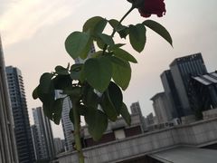 -瓦库茶馆17号(海汇港店)