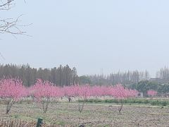 -嘉北郊野公园