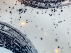 -蟹之国·精品蟹料理(极地店)