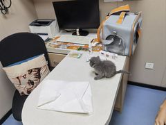 -瑞鹏宠物医院·爱宠堂·骨外专科(西荷分院)