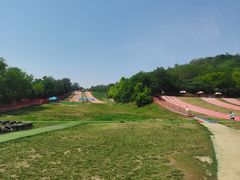 -南翠屏公园