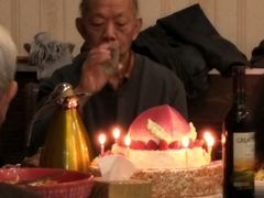 -丽莎蓓甜CAKE生日蛋糕·动物奶油(石家庄店)