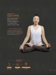 点击看大图 -FineYoga梵音瑜伽·普拉提