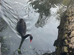 -水磨沟公园